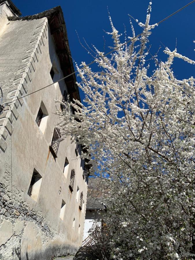 Casa Mille Sassi Villa Lionza Eksteriør bilde